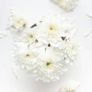 Coroa de flores para homenagem