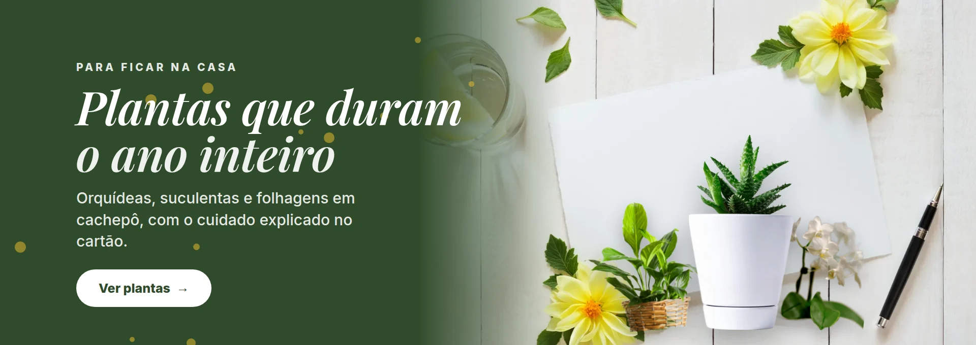 Ipê Amarelo Flores — Plantas que duram